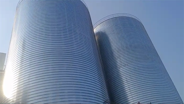 浦江2座混凝土高架卷板仓